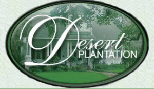 desert plantation