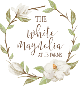 the white magnolia